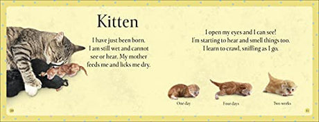 See How They Grow Pets - Retail Maharaj