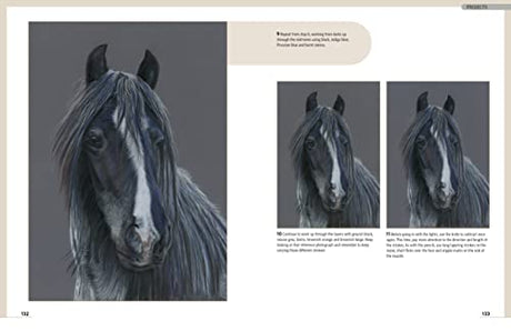 Drawing Animal Portraits in Coloured Pencil - Retail Maharaj
