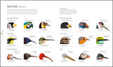 The Science of Animals - Retail Maharaj