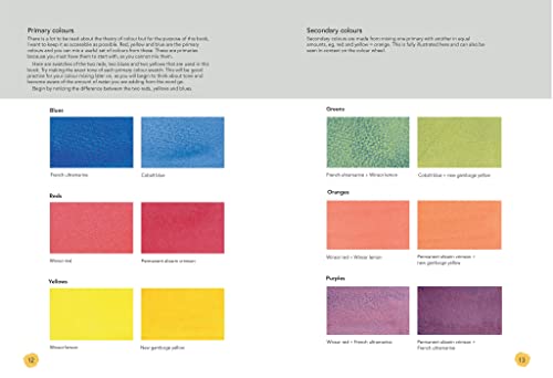 The Colour Mixing Companion: Your No-Fuss Guide to Mixing Watercolour, Acrylics & Oils (The Companion Series) - Retail Maharaj