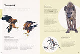 Ben Rothery's Deadly and Dangerous Animals - Retail Maharaj