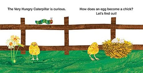 How Does an Egg Hatch?: Life Cycles with The Very Hungry Caterpillar (The World of Eric Carle) - Retail Maharaj