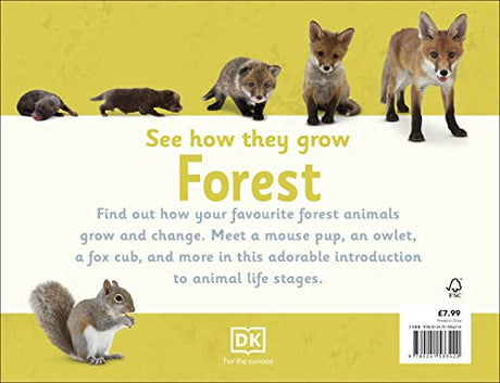 See How They Grow Forest - Retail Maharaj