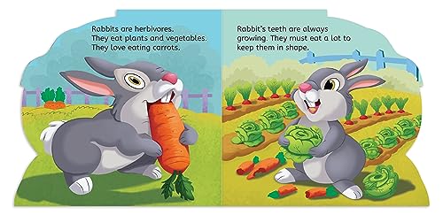 My First Shaped Board Book: Illustrated Rabbit - Animal Picture Book for Kids Age 2+ Board book - Retail Maharaj