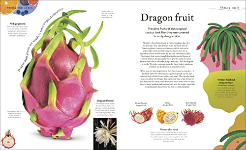 The Secret World of Plants: Tales of More Than 100 Remarkable Flowers, Trees, and Seeds - Retail Maharaj