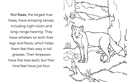 Wild Animal Book for Kids: Coloring Fun and Awesome Facts (A Did You Know? Coloring Book) - Retail Maharaj