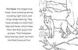 Wild Animal Book for Kids: Coloring Fun and Awesome Facts (A Did You Know? Coloring Book) - Retail Maharaj