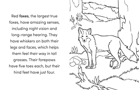 Wild Animal Book for Kids: Coloring Fun and Awesome Facts (A Did You Know? Coloring Book) - Retail Maharaj