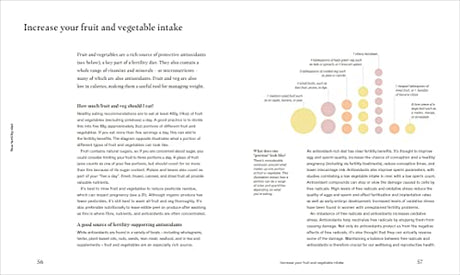 Deliciously Healthy Fertility: Nutrition and Recipes to Help You Conceive - Retail Maharaj