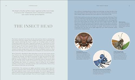RES Insects: Discover the Science and Secrets Behind the World of Insects - Retail Maharaj