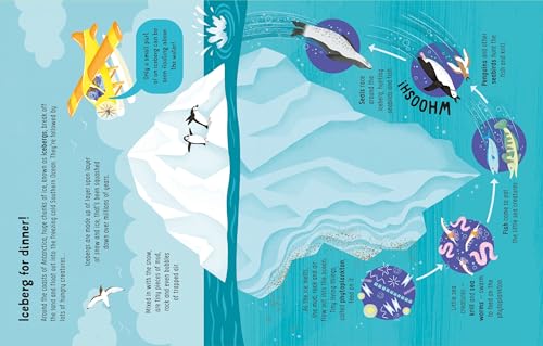 Lots Of Things To Know About Seas And Oceans - Retail Maharaj