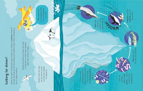 Lots Of Things To Know About Seas And Oceans - Retail Maharaj