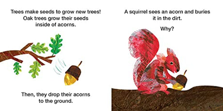 How Does a Seed Sprout?: Life Cycles with The Very Hungry Caterpillar - Retail Maharaj