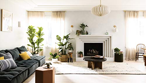 House Planted: Choosing, Growing, and Styling the Perfect Plants for Your Space - Retail Maharaj