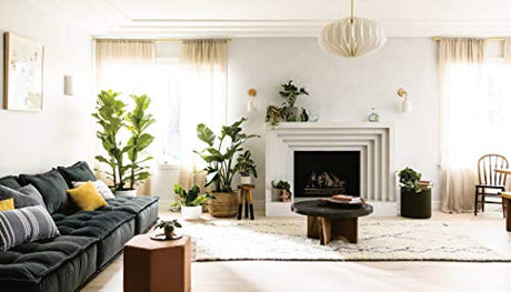 House Planted: Choosing, Growing, and Styling the Perfect Plants for Your Space - Retail Maharaj