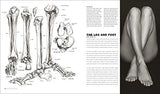 Anatomy for the Artist - Retail Maharaj