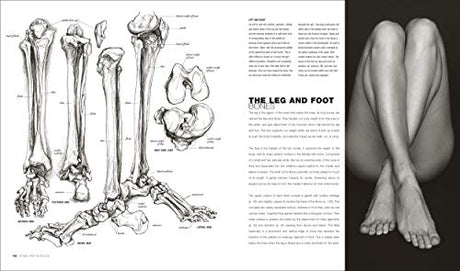 Anatomy for the Artist - Retail Maharaj