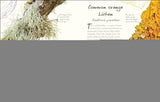 An Anthology of Fungi: A Collection of 100 Mushrooms, Toadstools and Other Fungi - Retail Maharaj