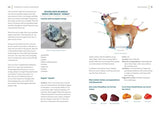 The Beginner's Guide to Crystal Healing - Retail Maharaj