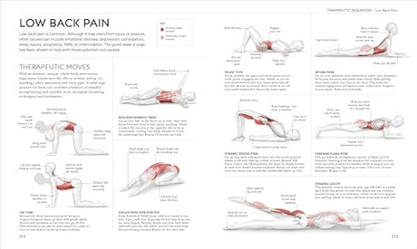 Science of Yoga: Understand the Anatomy and Physiology to Perfect Your Practice - Retail Maharaj
