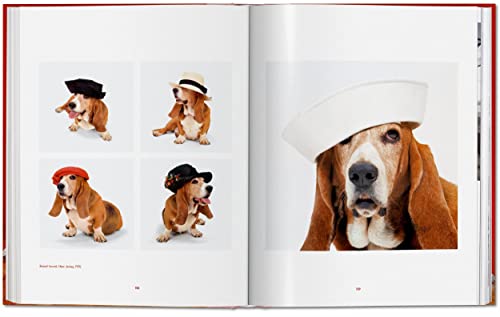 Walter Chandoha. Dogs. Photographs 1941-1991 - Retail Maharaj