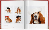 Walter Chandoha. Dogs. Photographs 1941-1991 - Retail Maharaj