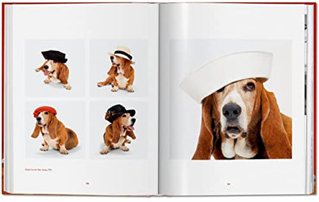Walter Chandoha. Dogs. Photographs 1941-1991 - Retail Maharaj