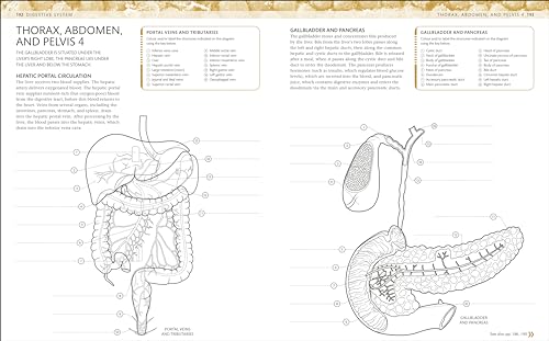 The Human Body Colouring Book: The Ultimate Anatomy Study Guide (DK Human Body Guides) - Retail Maharaj