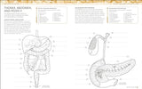 The Human Body Colouring Book: The Ultimate Anatomy Study Guide (DK Human Body Guides) - Retail Maharaj