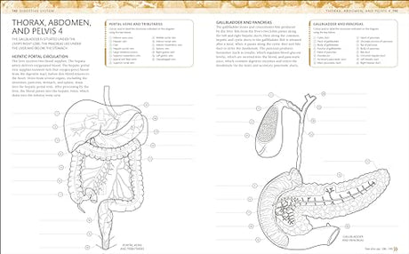 The Human Body Colouring Book: The Ultimate Anatomy Study Guide (DK Human Body Guides) - Retail Maharaj