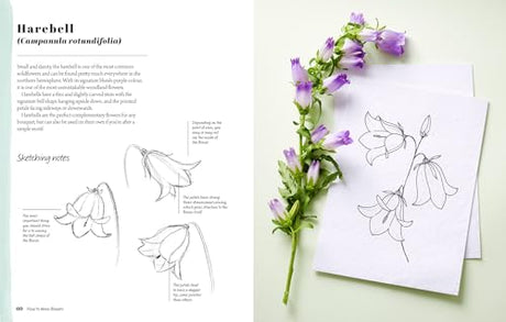 The Kew Book of Drawing Flowers: Failsafe Lessons for Drawing Floral and Botanical Elements. for Journaling, for Stationery, for Keeps - Retail Maharaj