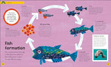 The Very Hungry Caterpillar's Very First Ocean Encyclopedia: An Introduction to the Ocean, for Very Hungry Young Minds - Retail Maharaj