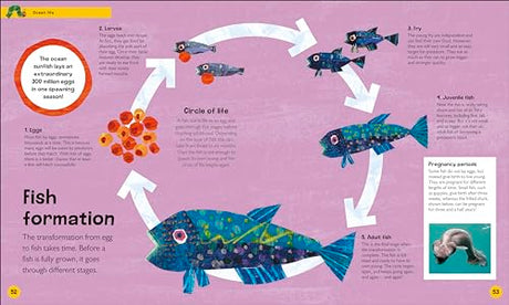 The Very Hungry Caterpillar's Very First Ocean Encyclopedia: An Introduction to the Ocean, for Very Hungry Young Minds - Retail Maharaj