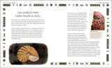 Gods of the Ancient World: A Kids’ Guide to Ancient Mythologies - Retail Maharaj