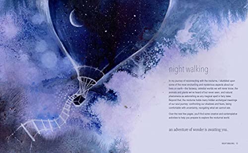 A Magical Night Journey - Retail Maharaj