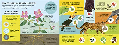 The Rainforest Book (Conservation for Kids) - Retail Maharaj