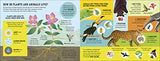 The Rainforest Book (Conservation for Kids) - Retail Maharaj