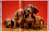 Walter Chandoha. Dogs. Photographs 1941-1991 - Retail Maharaj