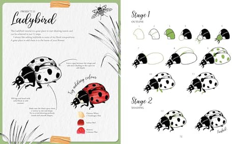 The Kew Book of Drawing Flora & Fauna: 20 Stunning Step-by-Step Tutorials - Retail Maharaj