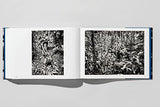 Sebastião Salgado. Amazônia: Amazônia - Retail Maharaj
