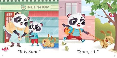 DK Super Phonics My First Decodable Stories Pet Shop Panda - Retail Maharaj