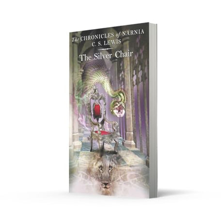 Silver Chair - Retail Maharaj