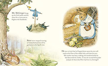 The Tale of Peter Rabbit Picture Book - Retail Maharaj
