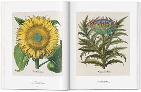 Garden Eden. Masterpieces of Botanical Illustration: Ile de France, Haute-Normandie, Picardie - Retail Maharaj