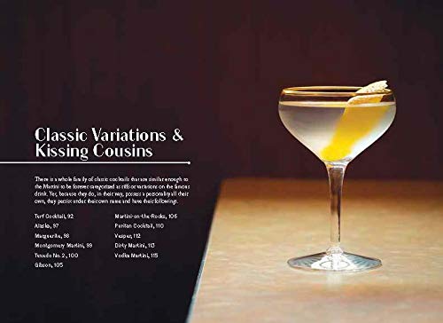 The Martini Cocktail - Retail Maharaj