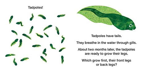 How Does a Tadpole Grow?: Life Cycles with The Very Hungry Caterpillar - Retail Maharaj