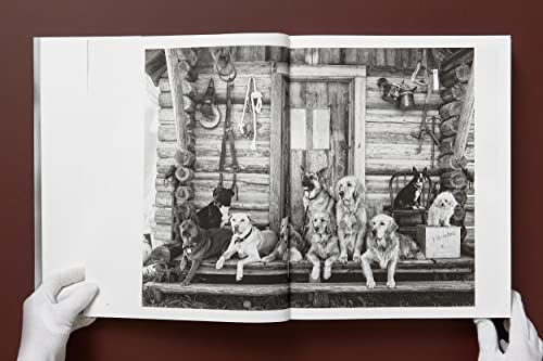 The Golden Retriever Photographic Society - Retail Maharaj