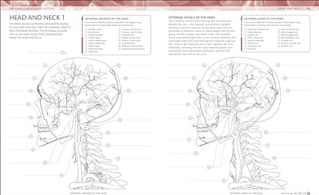 The Human Body Colouring Book: The Ultimate Anatomy Study Guide (DK Human Body Guides) - Retail Maharaj