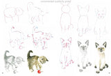 How to Draw: Kittens - Retail Maharaj