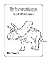 Dinosaur Book for Kids: Coloring Fun and Awesome Facts - Retail Maharaj